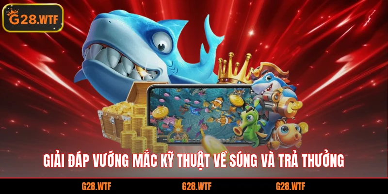 Giải đáp vướng mắc kỹ thuật về súng và trả thưởng