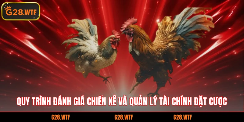 Quy trình đánh giá chiến kê và quản lý tài chính đặt cược